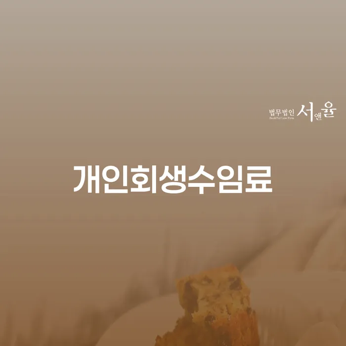 개인파산회생실무 대출 연체 개인회생 해결하고 싶다면