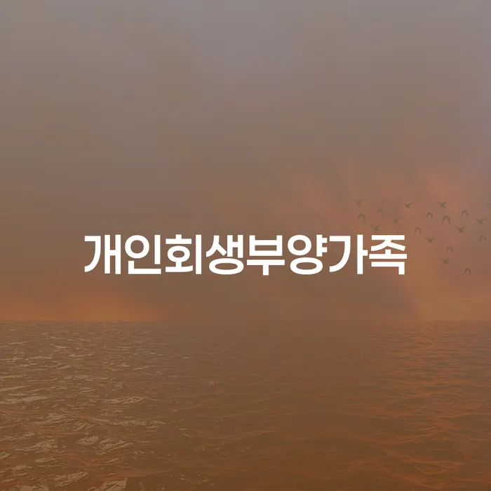 개인파산신고 개인회생으로 해결방법 총정리