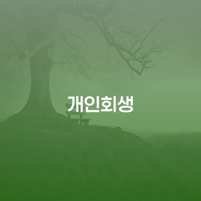 개인회생 법무사 비용 무이자 자체 분납 가능하고 개인회생 처리방법 노하우