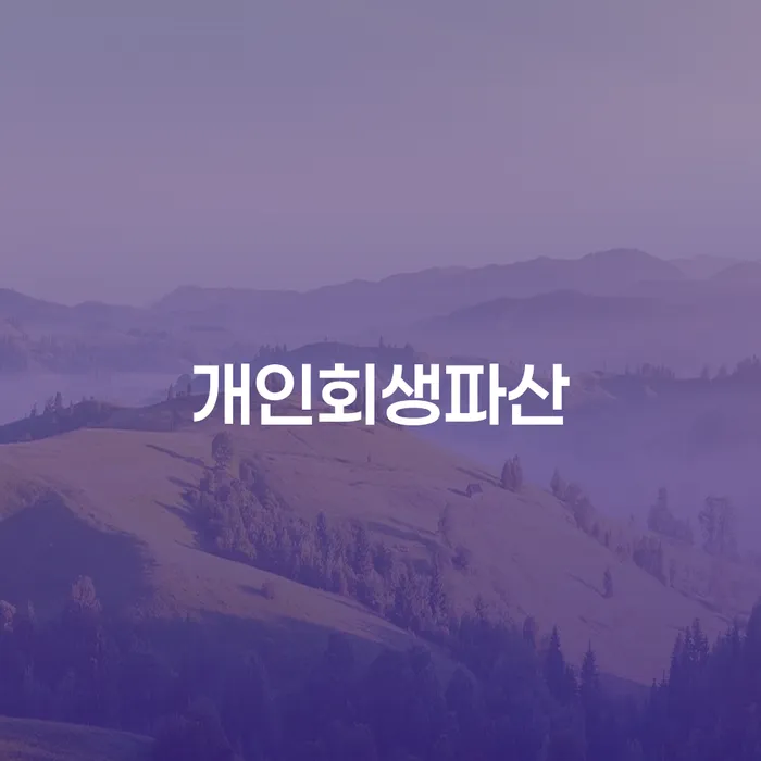 회생비용 저렴하고 분납이 가능한 개인회생으로 해결 정해지는
