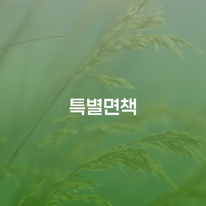 도박빚개인회생 빚 합법적인 빠른방법 잘 하는 사무소