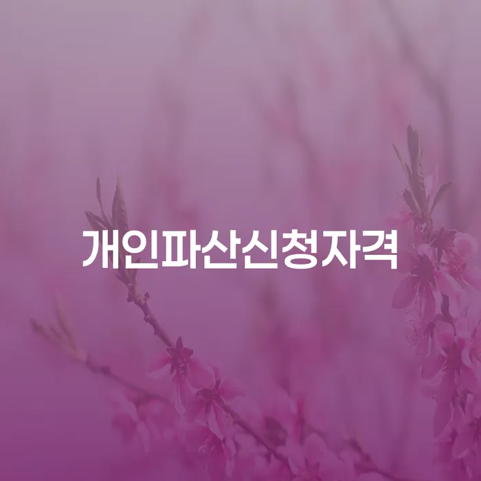 개인빚 대출 연체 개인회생 경험 많은 곳에서