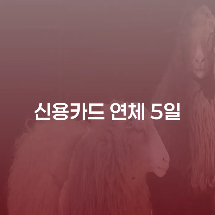 개인회생변호사비용을 아낄 수 있는 대출 받은 돈채무조정 수임료가 얼마인지?