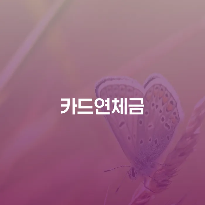 의정부시 개인회생수임료대출 안하고 자체 분납이 가능한 대출 연체 개인회생 미리알기