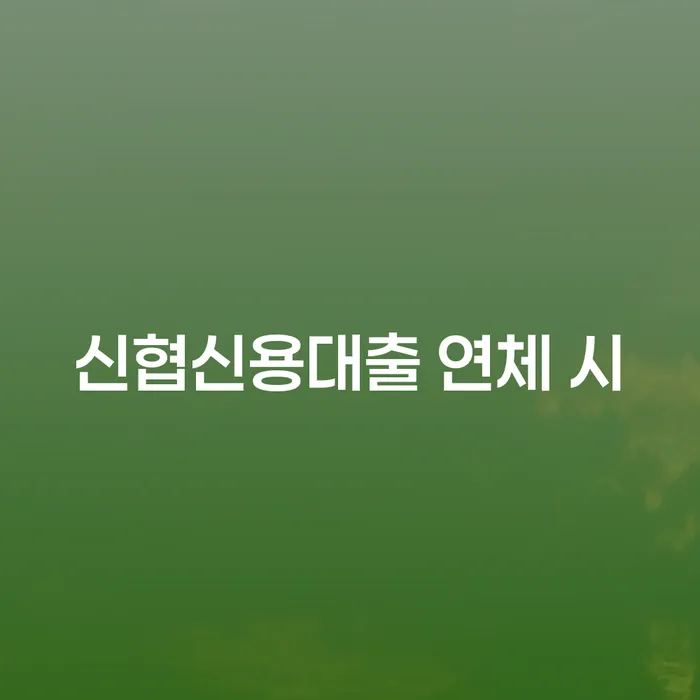 원주시 개인회생전문 대출 받은 돈채무조정 직접상담
