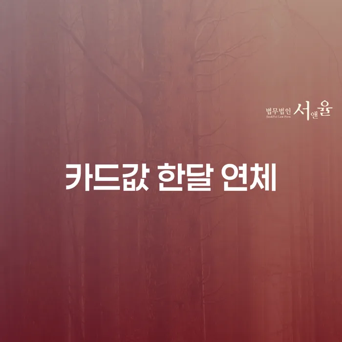양구군 개인회생장점 빚청산 성향에