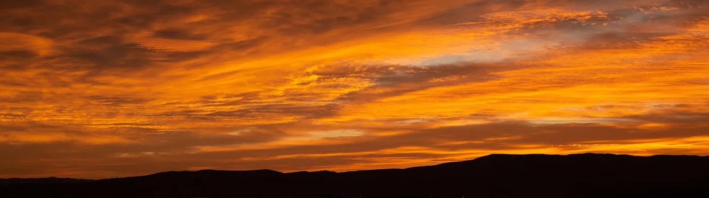 법무법인 서앤율