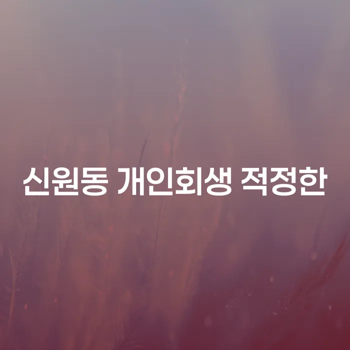 신원동 개인회생 적정한