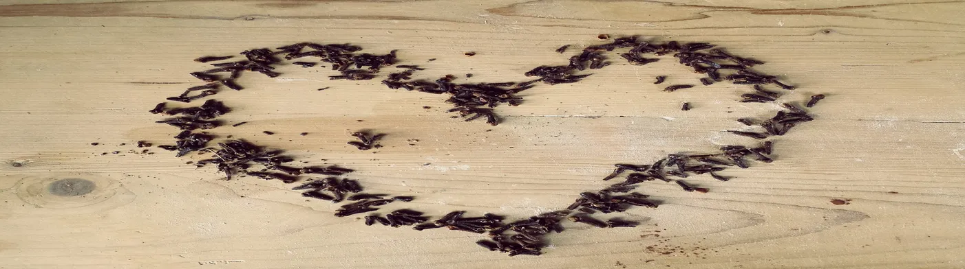 법무법인 서앤율