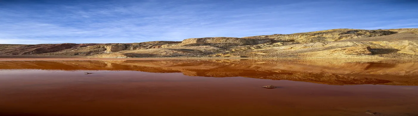 법무법인 서앤율