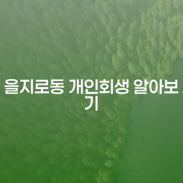 을지로동 개인회생 알아보기