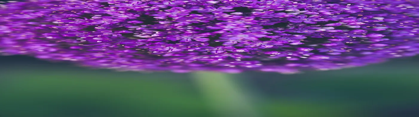 법무법인 서앤율