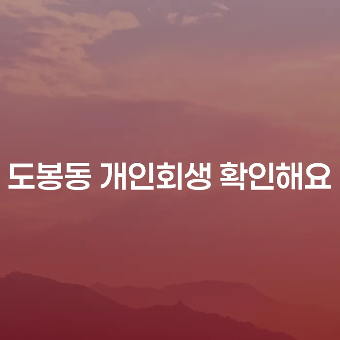 도봉동 개인회생 확인해요
