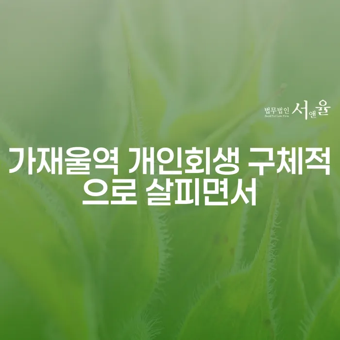 가재울역 개인회생 구체적으로 살피면서