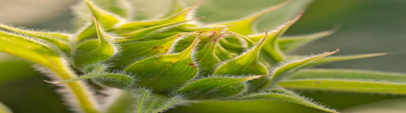 법무법인 서앤율