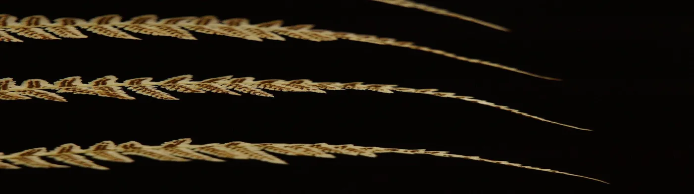 법무법인 서앤율