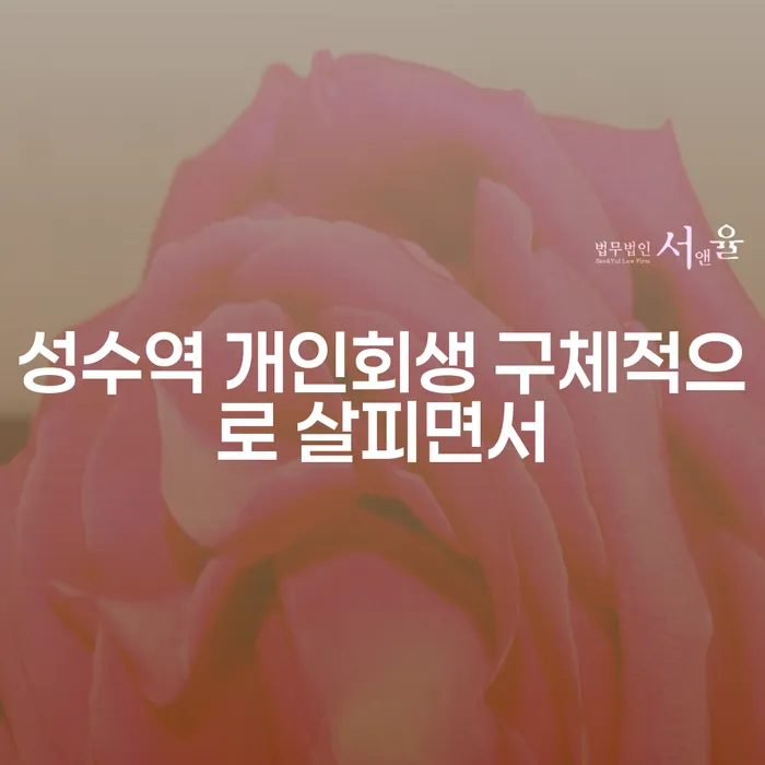 성수역 개인회생 구체적으로 살피면서