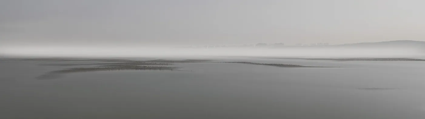 법무법인 서앤율