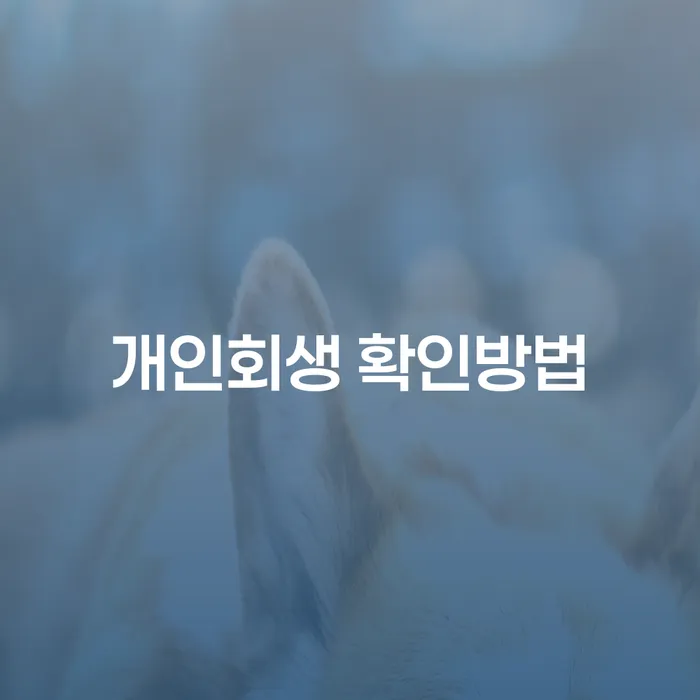 개인회생과 개인파산, 어떻게 시작해야 할까?