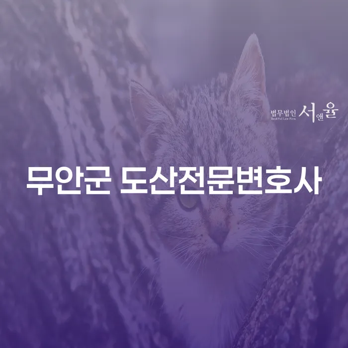 무안군과 삼척시에서 도산전문변호사를 만나 개인회생과 개인파산을 신청해야 하는 이유는?