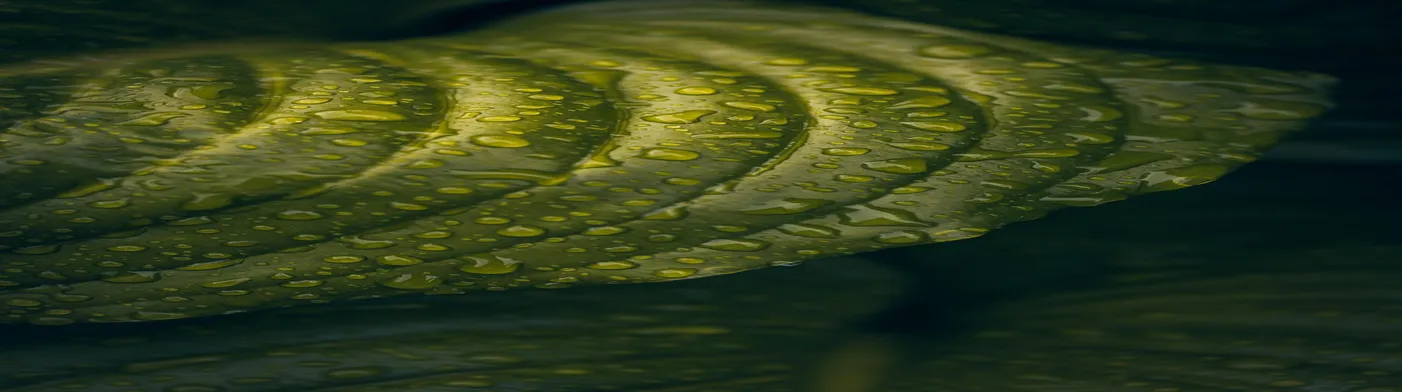 법무법인 서앤율